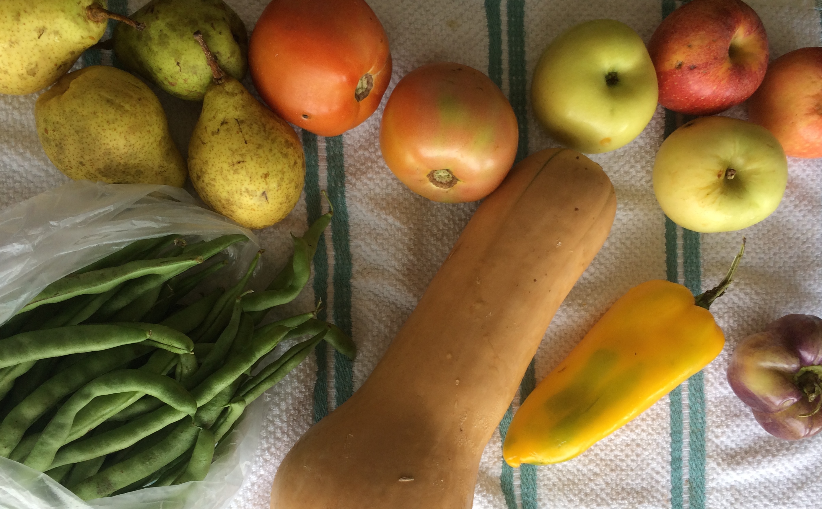 How to eat local with a CSA.